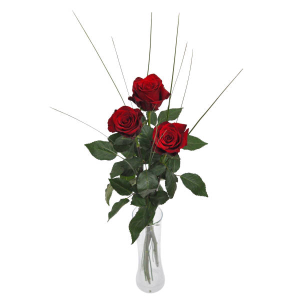 STRUB rote Rosen mit Steelgras